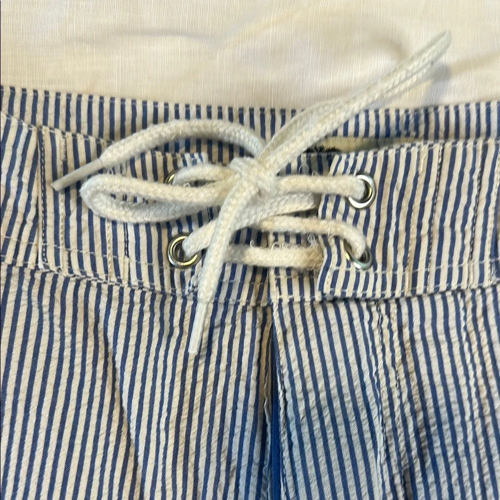J. Crew Blue and White Board Shorts with Drawstring Waist